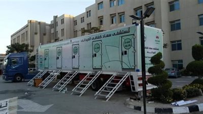 مجلس الوحدة العربية يمنح جامعة مصر جائزة التميز
