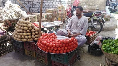 أسعار الخضراوات والفاكهة بأسواق قنا اليوم