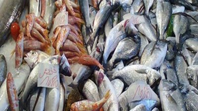 أسعار السمك في سوق العبور اليوم الجمعة