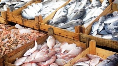 تعرف على أسعار الأسماك بأسواق الجملة