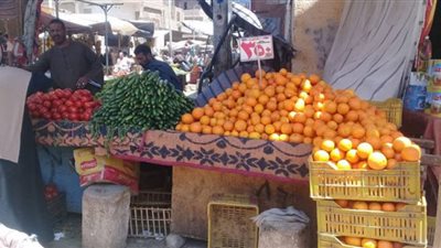 استقرار أسعار الخضراوات والفاكهة بأسواق قنا اليوم الجمعة
