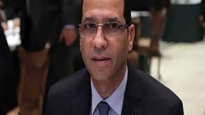 برلماني: طرح الفول على بطاقات التموين ممتاز حال تنفيذه