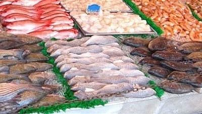 أسعار الأسماك خلال تعاملات اليوم الخميس