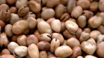 30% ارتفاع في أسعار الفول عالميًا