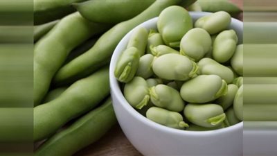 بينها الوقاية من السرطان ..فوائد مذهلة للفول الأخضر