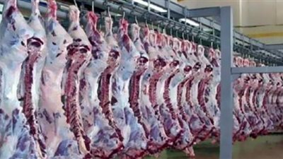 تباين آراء الخبراء بشأن إنشاء مجزر مصري للحوم الحمراء في الصومال