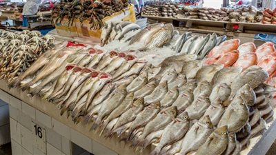 المصريون ملوا من اللحوم.. أسعار السمك بعد تصدرها التريندات
