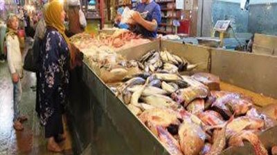 البلطي بـ 21 جنيهًا.. تعرف أسعار الأسماك بسوق العبور