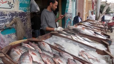 استقرار نسبى فى أسعار الأسماك بالأسواق اليوم الثلاثاء