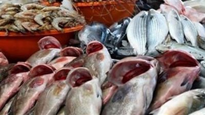 البلطي بـ90 جنيهًا .. تعرف على أسعار الأسماك اليوم
