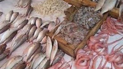 تراجع أسعار الأسماك في سوق العبور.. والبلطي بـ20 جنيهًا