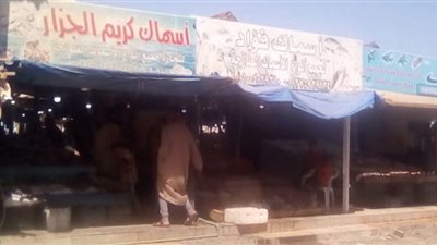 ارتفاع أسعار الأسماك بالبحر الأحمر يصيب الأسواق بالشلل