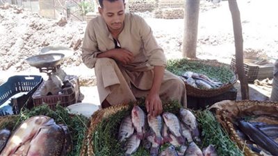 أسعار الأسماك بأسواق قنا اليوم الاثنين