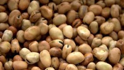 شاهد.. رئيس شعبة الأرز: نستورد الفول ونصنع جزء كبير منه ونعيد تصديره