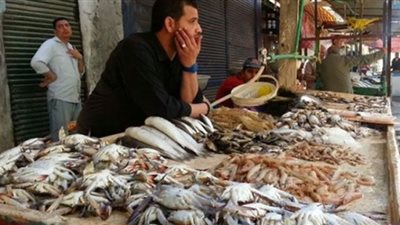 ننشر أسعار الأسماك.. والبلطي يتراوح بين 21 و23.5 جنيه