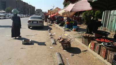 صور.. الطماطم 