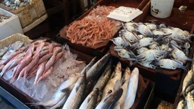أسعار السمك اليوم الجمعة