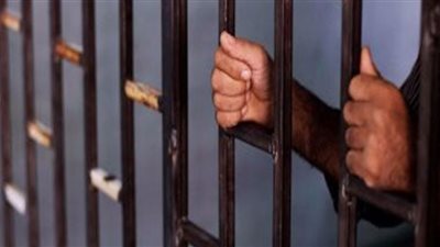 ضبط صاحب ثلاجة لبيعه دواجن ولحوم فاسدة في منشأة القناطر