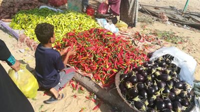 تعرف على أسعار الخضراوات والفواكه بـ أسواق الفيوم