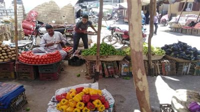أسعار الخضراوات والفاكهة بقنا اليوم الجمعة