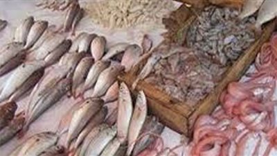 استقرار أسعار الأسماك اليوم