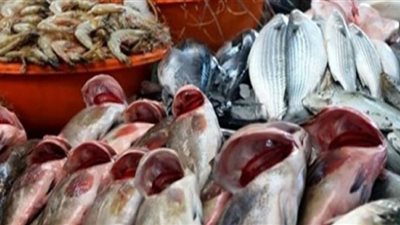 البلطي بـ30 والبياض بـ64 .. تعرف على أسعار الأسماك اليوم