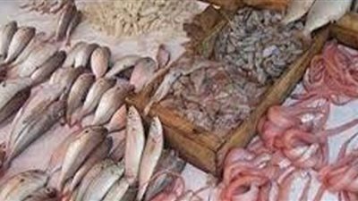 تعرف على أسعار الأسماك في سوق العبور اليوم