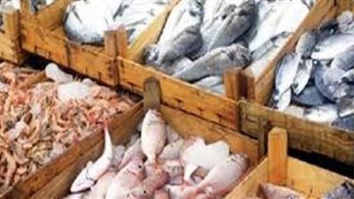 أسعار الأسماك اليوم الخميس