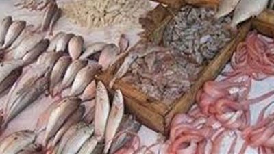 تعرف على أسعار الأسماك في سوق العبور اليوم الثلاثاء