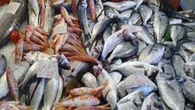 تعرف على أسعار الأسماك اليوم الأربعاء