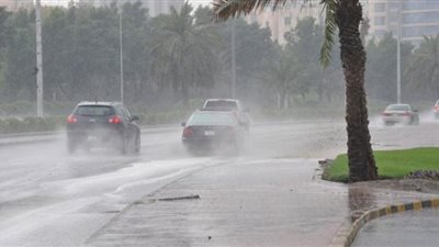 بالفيديو.. الأرصاد تحذر من طقس غدًا: رياح وأمطار وانخفاض الحرارة 6 درجات