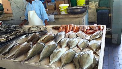 أسعار الأسماك في سوق العبور اليوم الاثنين