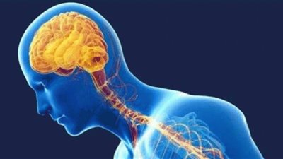تطوير علاج جيني يعمل على تجديد الأعصاب