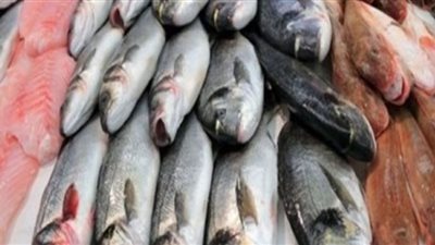استقرار في أسعار الأسماك اليوم الجمعة بسوق العبور