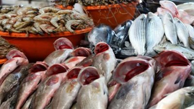ننشر أسعار الأسماك بالأسواق اليوم