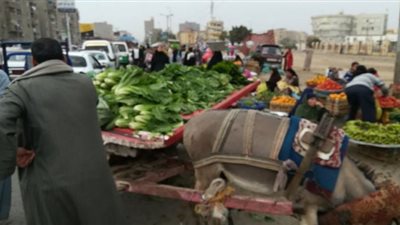 أسعار أسواق الفيوم.. الطماطم بـ4 وكيلو الفراخ بـ32
