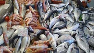 ننشر أسعار الأسماك بالأسواق