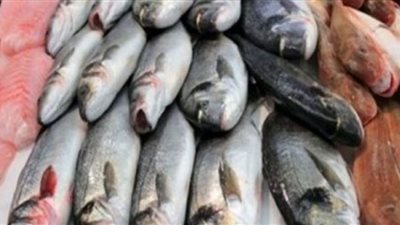 تعرف على أسعار الأسماك اليوم بسوق العبور