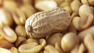 إدارة الغذاء والدواء الأمريكية تصدر علاج لمنع حساسية الفول السوداني