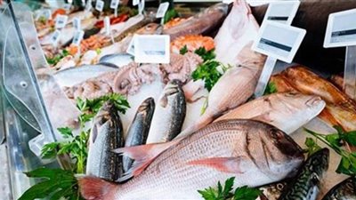 تباين أسعار الأسماك اليوم الثلاثاء