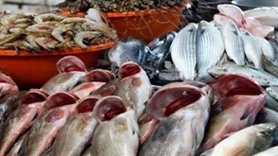 تعرف على أسعار الأسماك في الأسواق اليوم الجمعة