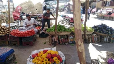 تعرّف على أسعار الخضراوات والفاكهة بأسواق قنا اليوم الجمعة