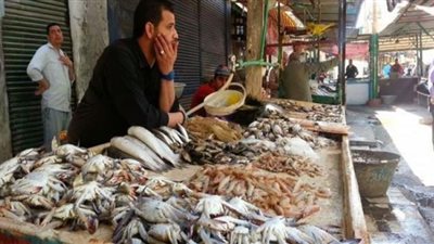 البلطي بـ24 جنيهًا.. تعرف على أسعار الأسماك اليوم السبت