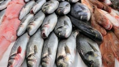 سعر الأسماك في الأسواق اليوم الأحد