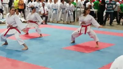 الكاراتيه يفوز ببرونزية بطولة سيرياس الدولية