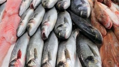 أسعار الأسماك في سوق العبور اليوم السبت