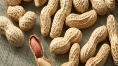 الفول السوداني يقلل من خطر الإصابة بأمراض القلب والأوعية الدموية