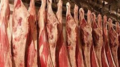 نقيب الفلاحين: انخفاض أسعار اللحوم خلال الأيام المقبلة