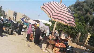 انخفاض أسعار الفراخ إلى 26 جنيه فى أسواق الفيوم