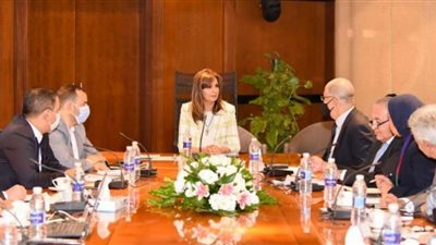 السويدي: إنشاء قطاع للتواصل مع المستثمرين المصريين بالخارج بإشراف وزارة الهجرة